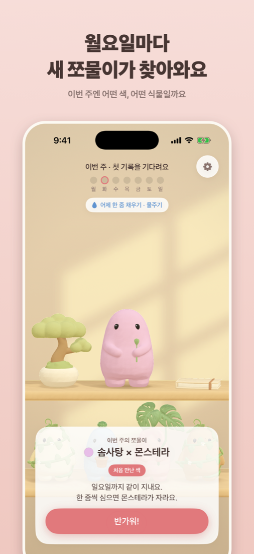 월요일의 새 쪼물이