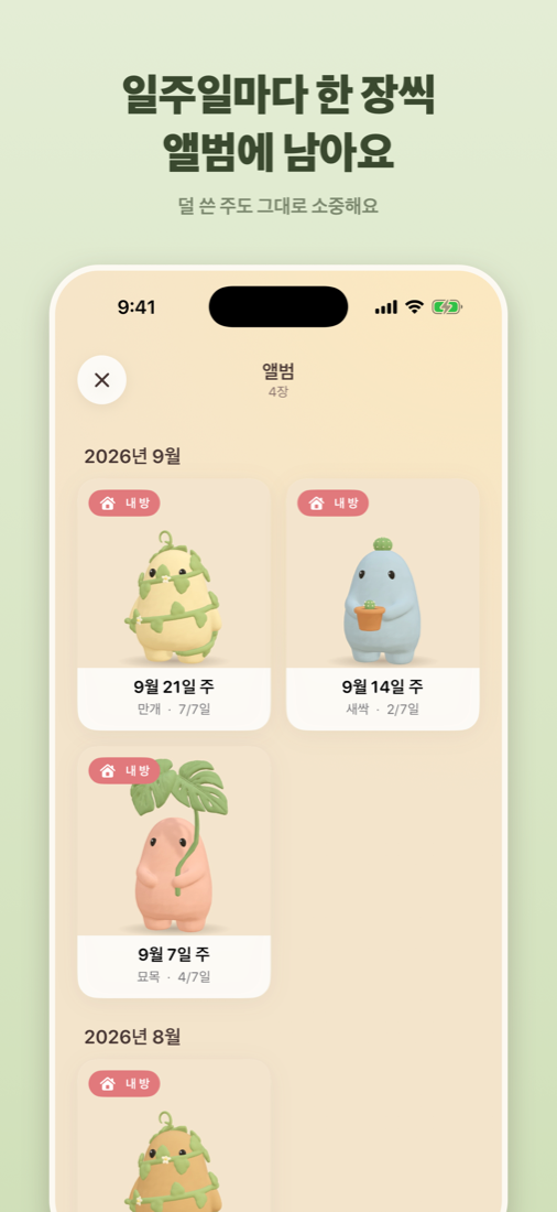 앨범