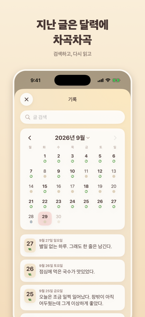 기록 달력